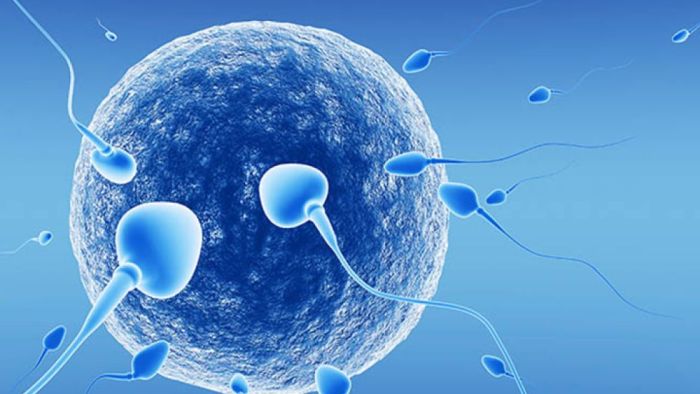 Sperm Donasyonu: Yeni Hayatlara Umut Işığı